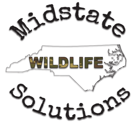Midstate Wildlife Solutions