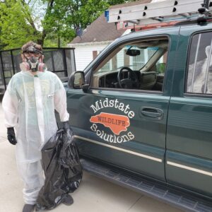 24 hour wildlife removal services north carolina